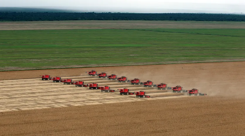 Agro-industrie et transformation alimentaire